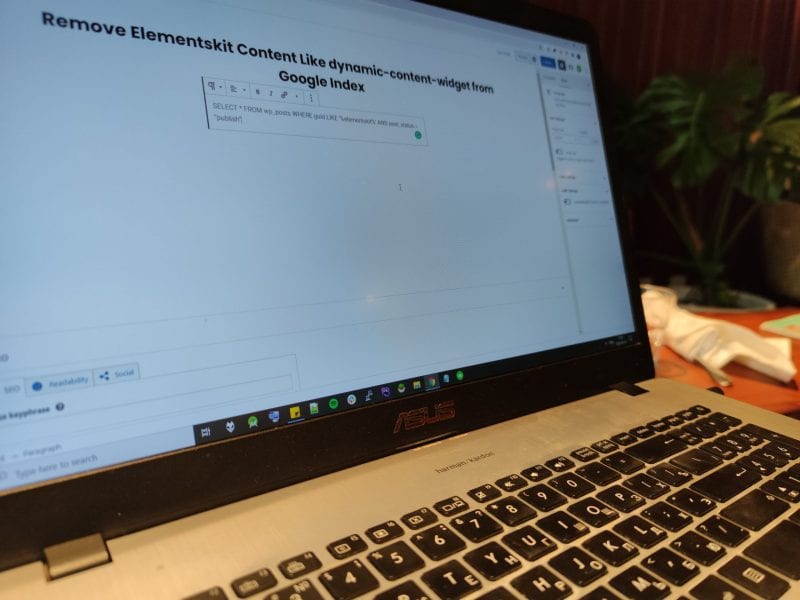 Remove dynamic-content-widget elementskit_template and Other Elementskit Content From Google Index