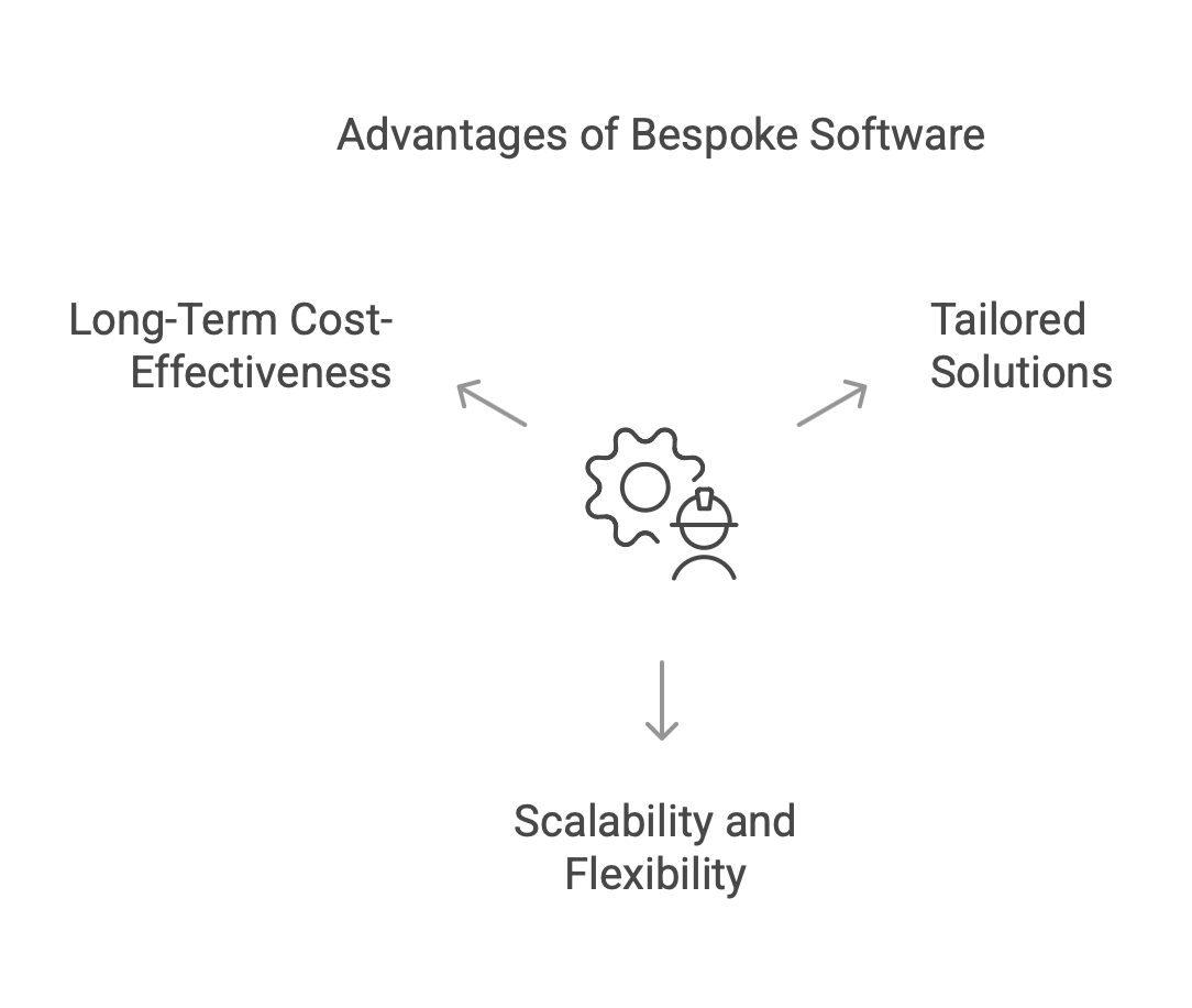  what are the advantages of bespoke software development for your business visual selection